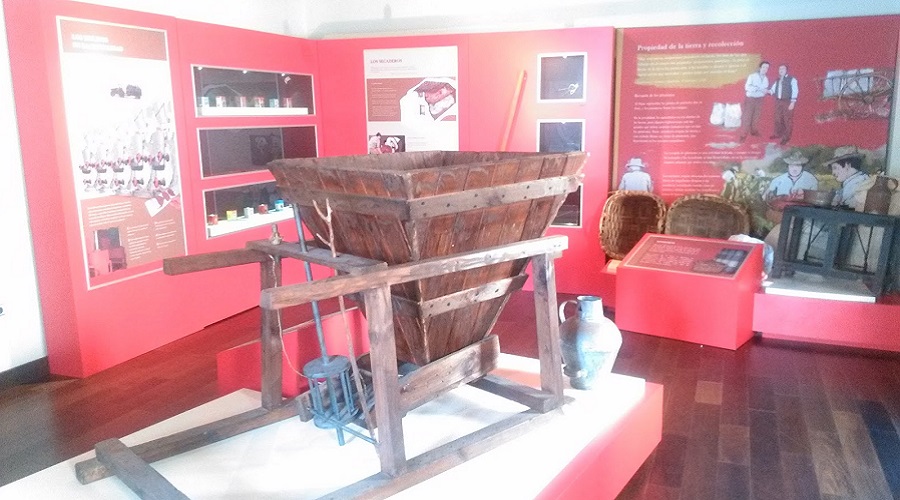 Ruta del Pimentón. Museo.